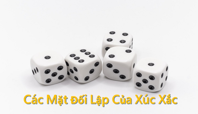 Các mặt đối lập của Xúc xắc