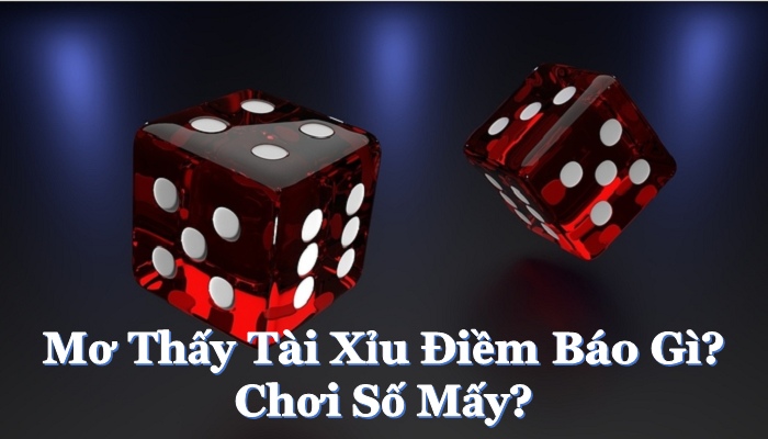 Mơ thấy đánh tài xỉu